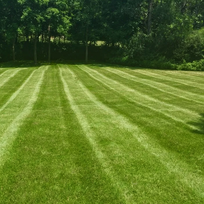 Lawn Care service in Omaha, 68102