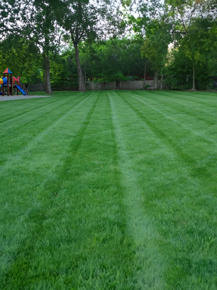 About the Lawn mowing and property maintenance company in Omaha